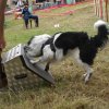 foire-haricots 2011-09-17et18